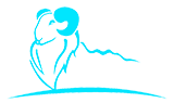 石獅市振富針紡機(jī)械有限公司