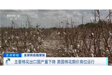 央視調查：棉花大漲！服裝訂單量下滑，外貿企業(yè)面臨“三座大山”